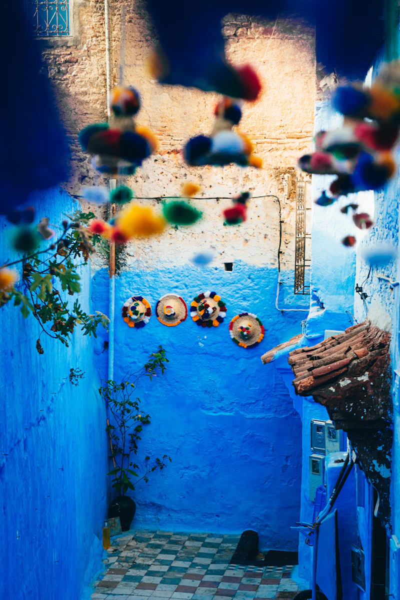 Éducation & Formation Maroc